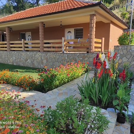 Vila Vera Borsko Jezero Ngoại thất bức ảnh