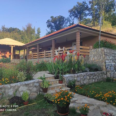Vila Vera Borsko Jezero Ngoại thất bức ảnh