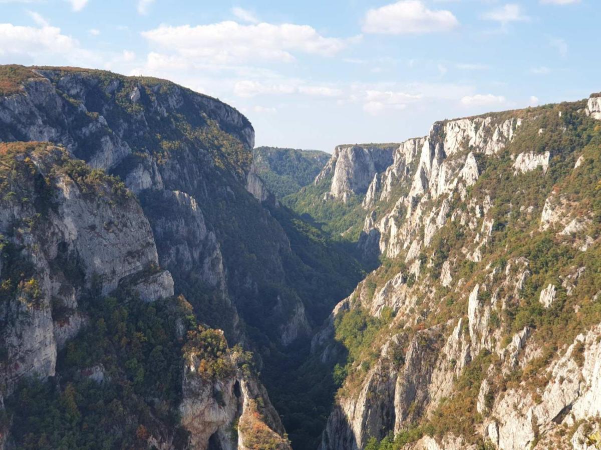 Vila Vera Borsko Jezero Ngoại thất bức ảnh