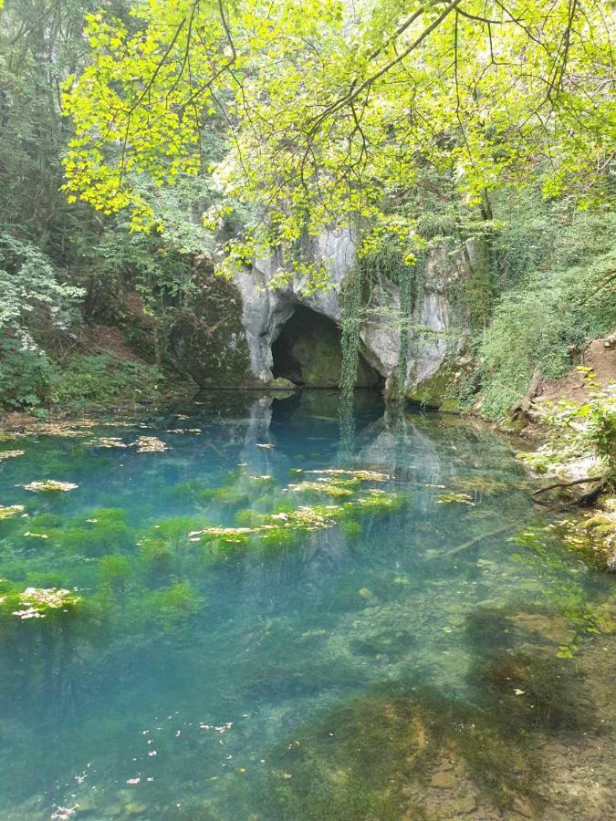 Vila Vera Borsko Jezero Ngoại thất bức ảnh