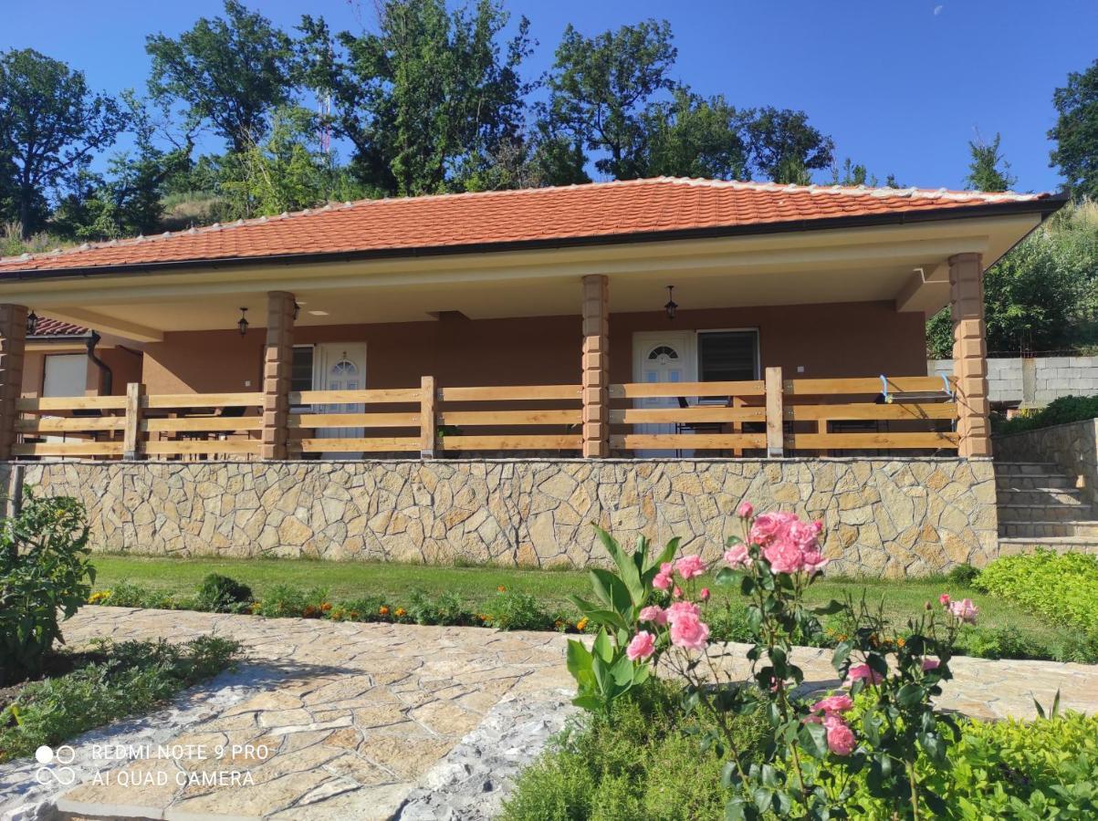Vila Vera Borsko Jezero Ngoại thất bức ảnh