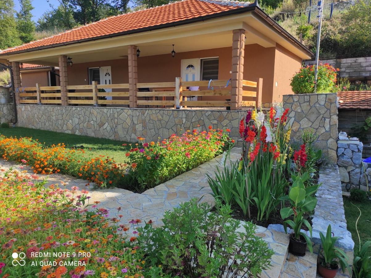 Vila Vera Borsko Jezero Ngoại thất bức ảnh