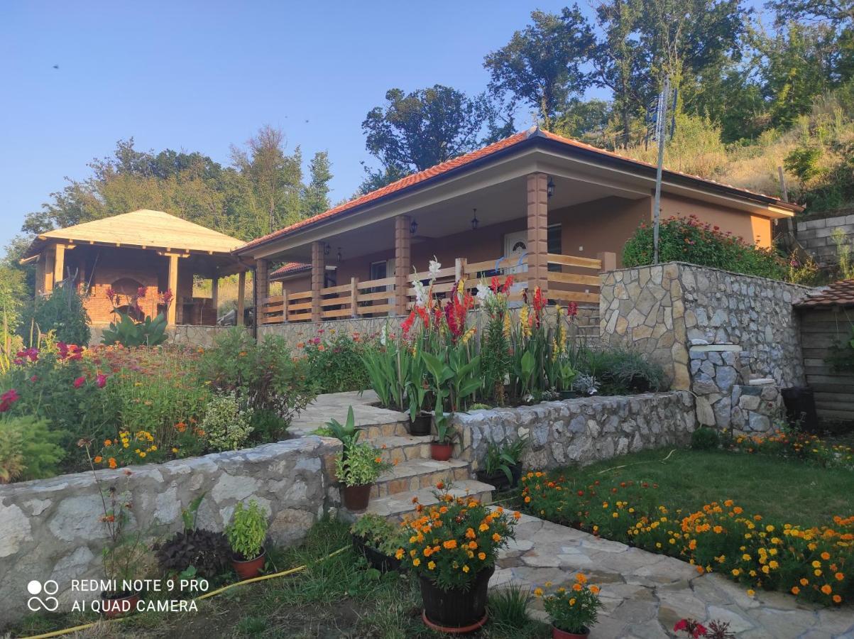 Vila Vera Borsko Jezero Ngoại thất bức ảnh