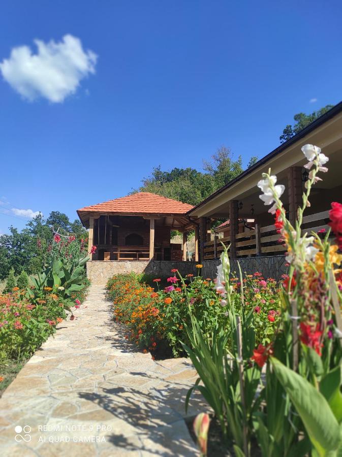 Vila Vera Borsko Jezero Ngoại thất bức ảnh